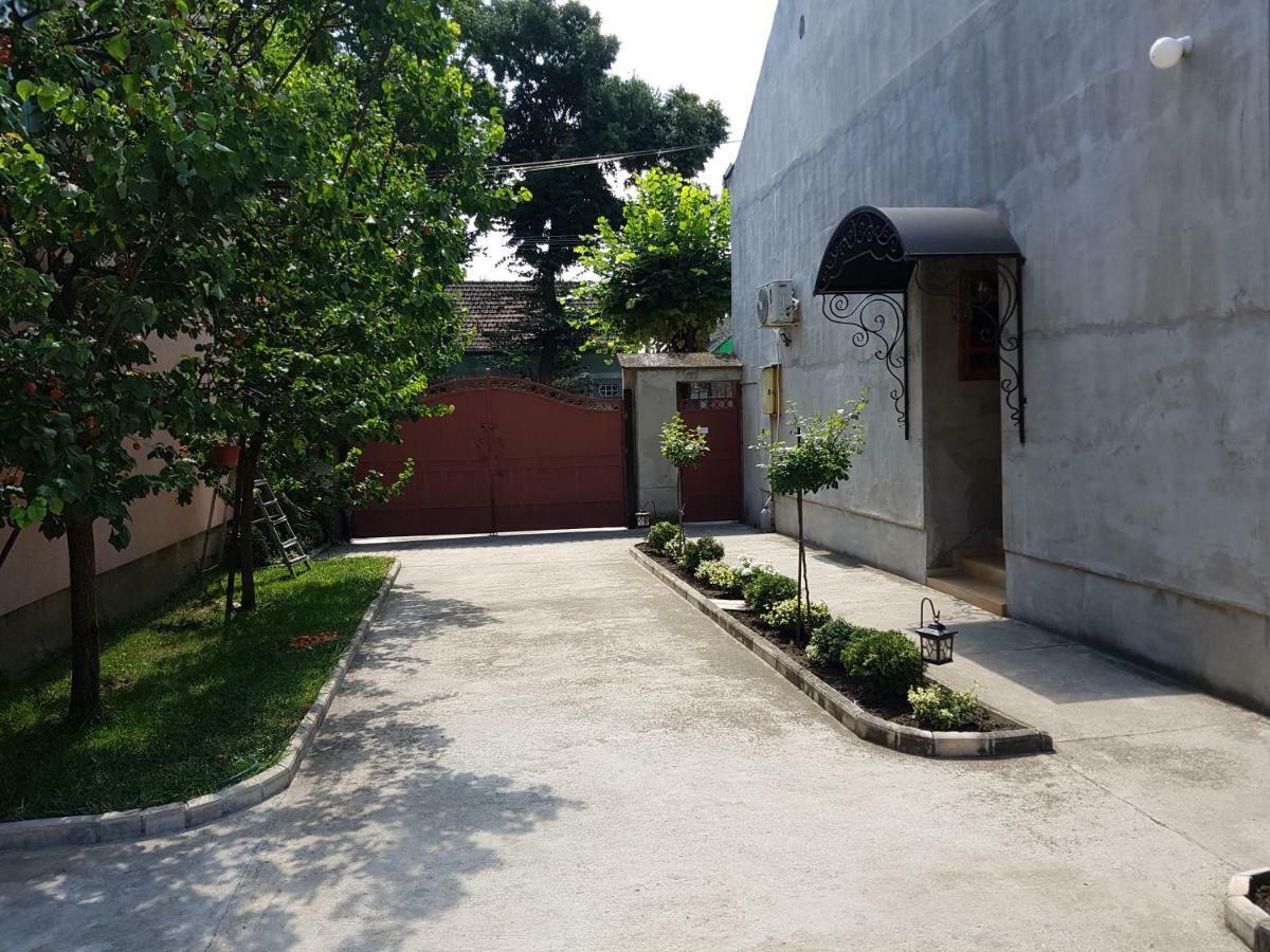 Apartman Vila Milica Kikinda Zewnętrze zdjęcie
